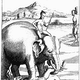 Illustration for article titled Elephants Were Once Used As Executioners